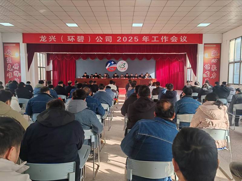 龙兴（安博·体育平台-（中国）有限公司
）公司召开2025年工作会议